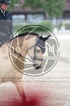 ref. photo 3738492