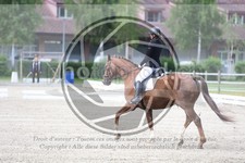 ref. photo 3738604