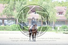 ref. photo 3738842