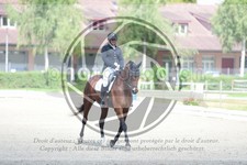 ref. photo 3738845