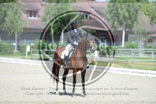 ref. photo 3738868