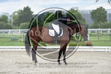 ref. photo 3738896