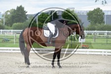 ref. photo 3738897