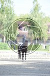 ref. photo 3738919