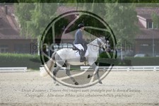 ref. photo 3739061