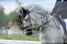 ref. photo 3739072