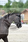 ref. photo 3739094
