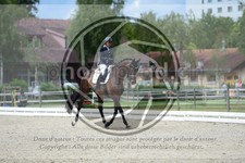 ref. photo 3739274