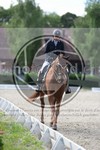 ref. photo 3739303