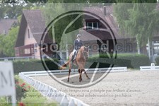 ref. photo 3739311
