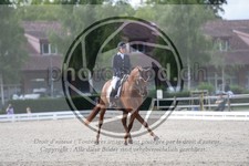 ref. photo 3739315