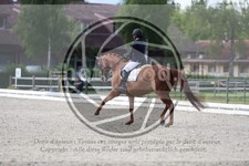 ref. photo 3739317