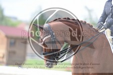 ref. photo 3739322