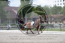 ref. photo 3739329