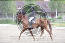 ref. photo 3739345