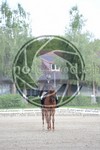 ref. photo 3739383