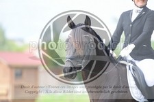 ref. photo 3739389