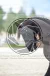 ref. photo 3739401