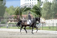ref. photo 3739427