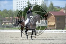 ref. photo 3739441