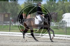 ref. photo 3739452