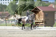 ref. photo 3739454