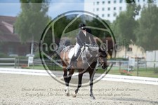 ref. photo 3739460