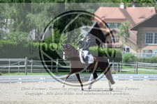 ref. photo 3739584