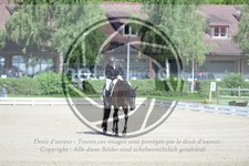 ref. photo 3739683