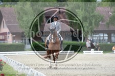 ref. photo 3739735