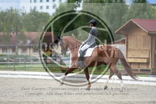 ref. photo 3739737