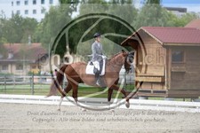 ref. photo 3739746