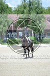 ref. photo 3739910