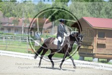ref. photo 3739918
