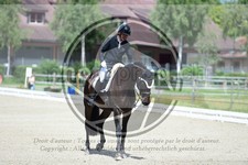 ref. photo 3739929