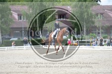 ref. photo 3739935
