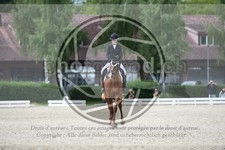 ref. photo 3739940