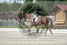 ref. photo 3739944