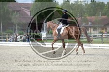 ref. photo 3739945