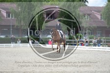 ref. photo 3739946