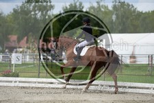 ref. photo 3739950