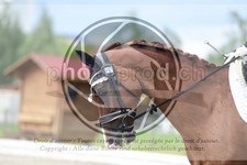 ref. photo 3739955