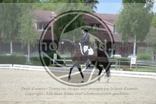 ref. photo 3740059