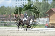 ref. photo 3740071