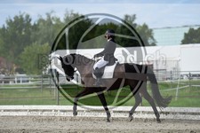 ref. photo 3740128