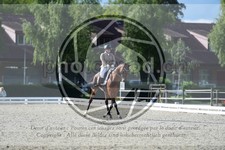 ref. photo 3740154