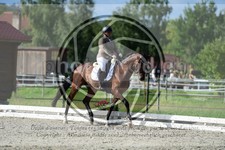 ref. photo 3740158