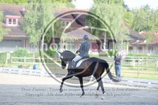ref. photo 3740193