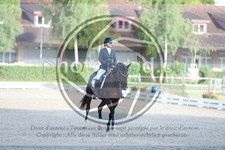 ref. photo 3740194