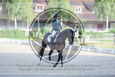 ref. photo 3740195